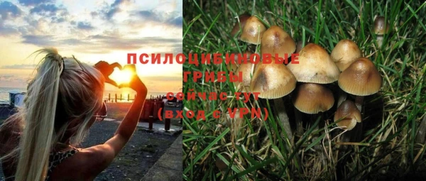 ПСИЛОЦИБИНОВЫЕ ГРИБЫ Алексин