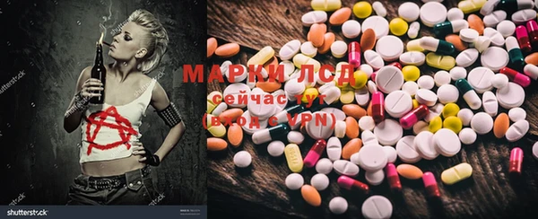 ПСИЛОЦИБИНОВЫЕ ГРИБЫ Алексин