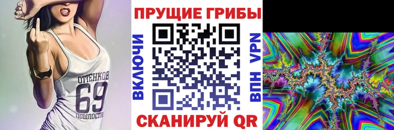 закладка  площадка как зайти  Псилоцибиновые грибы Psilocybine cubensis  Пугачёв 